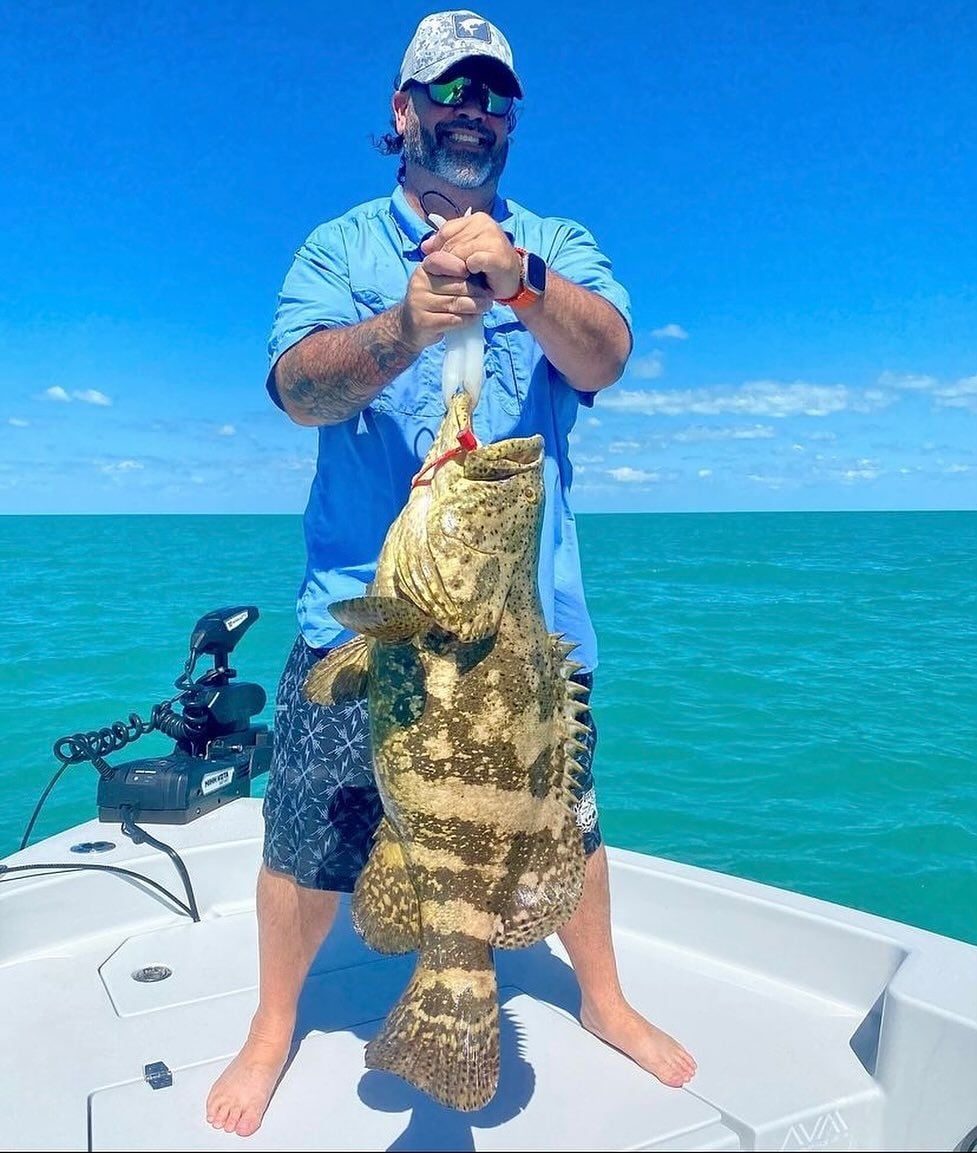 Goliatch grouper havested - The Hull Truth - Boating and Fishing Forum
