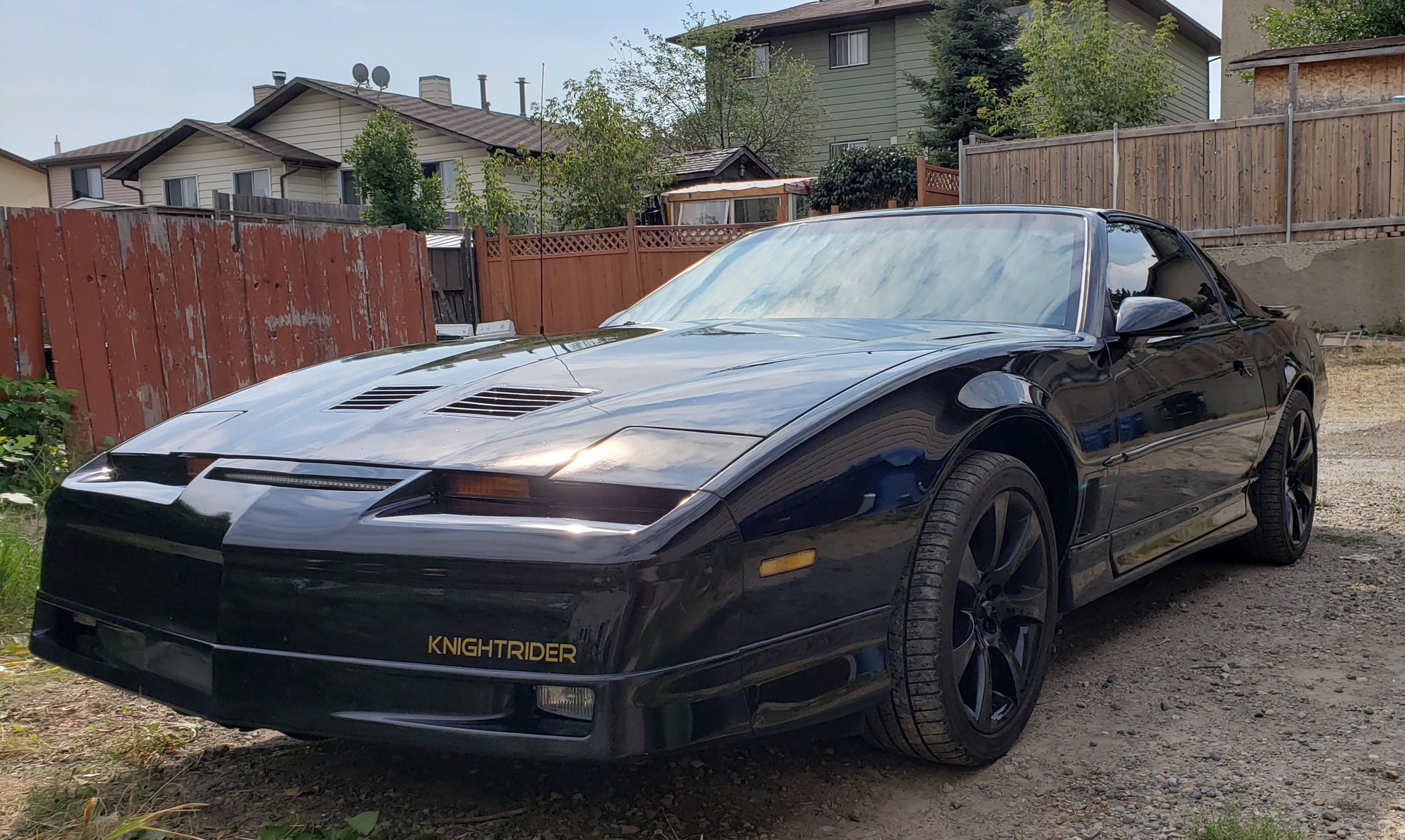 Third generation pontiac firebird