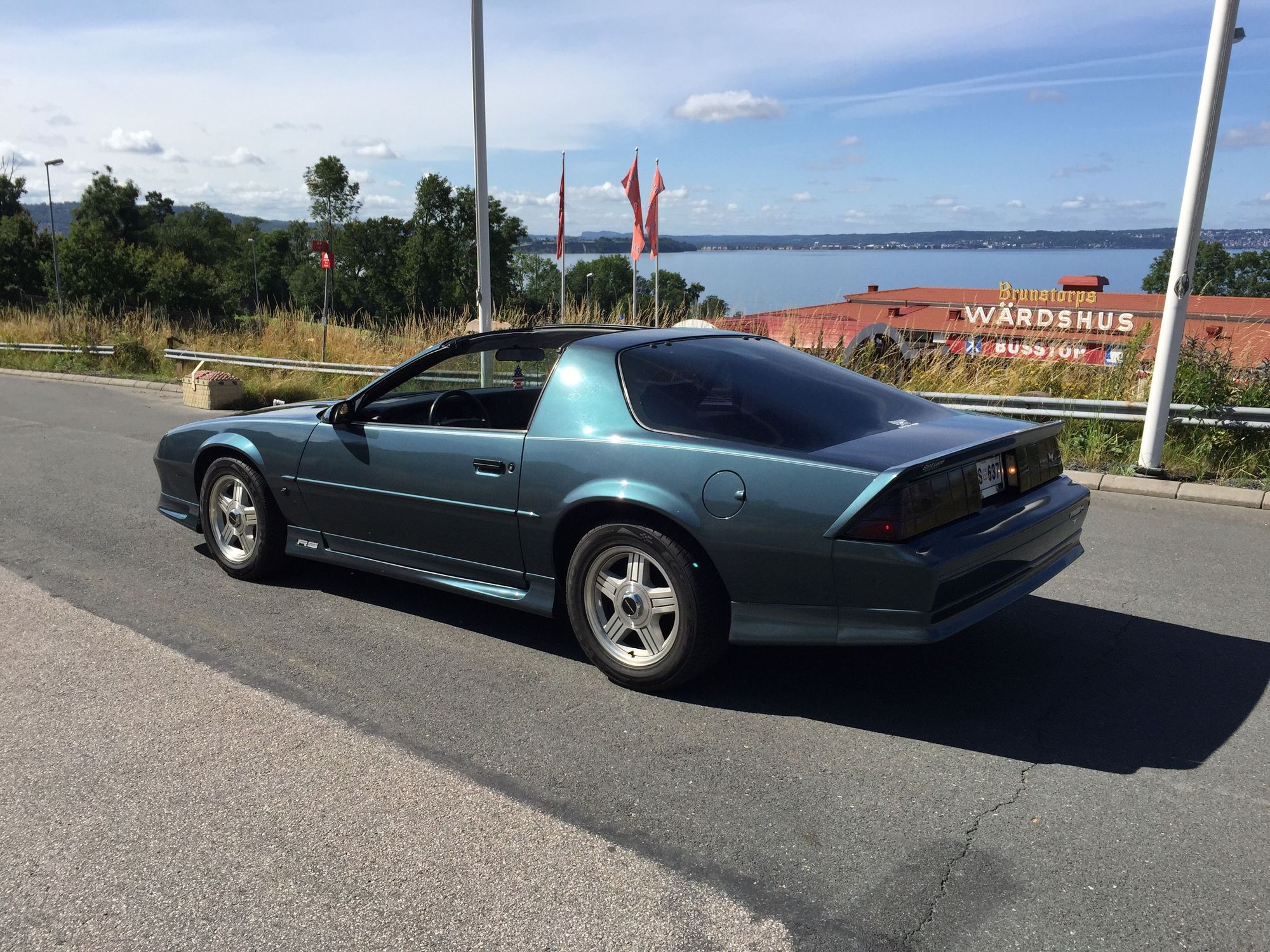 Dark Green Grey Metallic 92 Rs - Page 3 - Third Generation F-Body