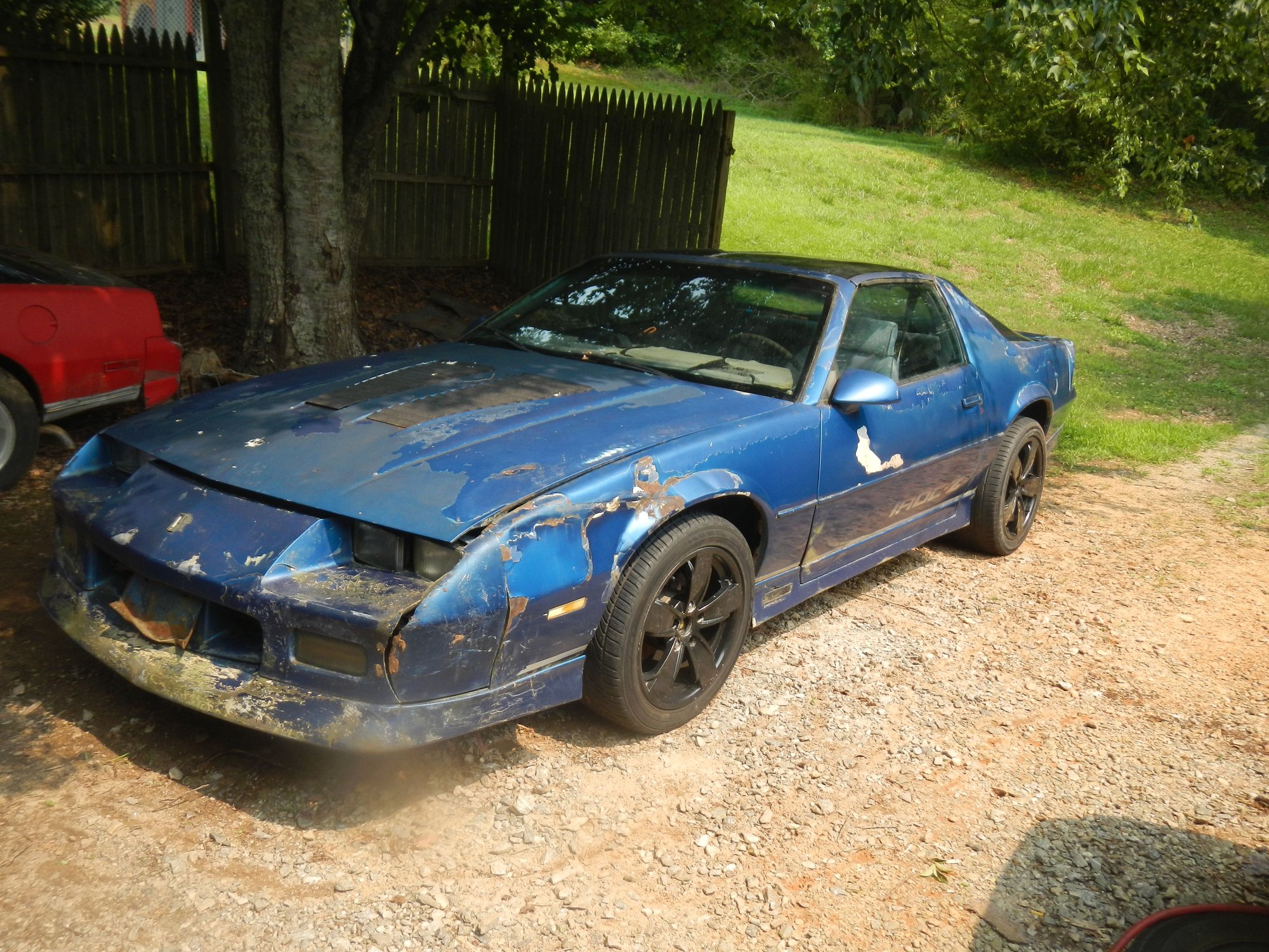 I have a good pair of fenders plus picked up a nose over the weekend,