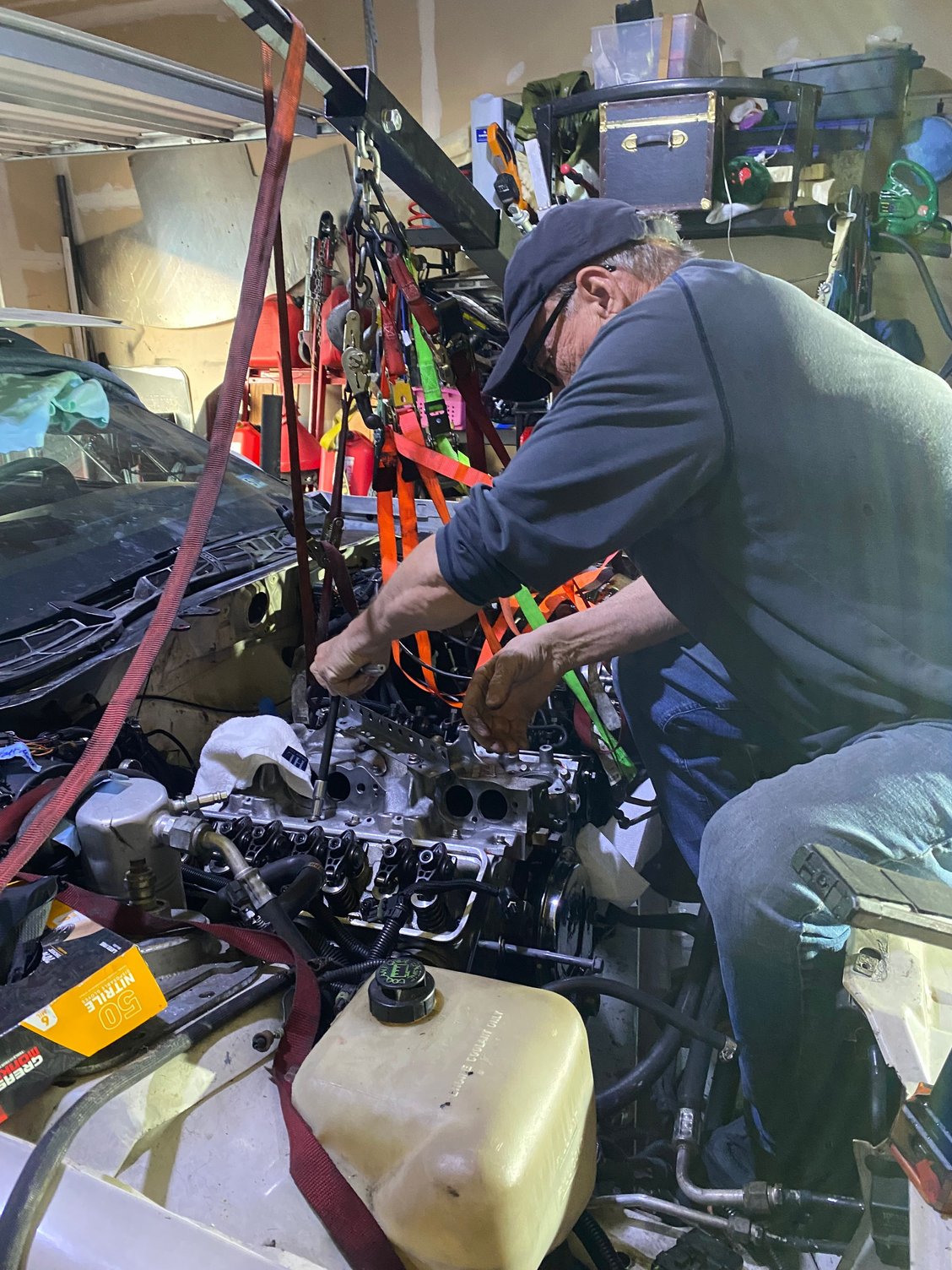 My neighbor best neighbor!