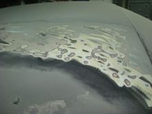 Bondo everywhere.