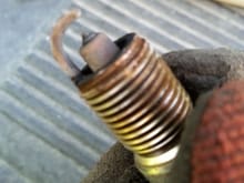 see what i mean. they look ashy. and idk what the gap should be. i've heard .040 and .060 for older low comp 5.3s. this is a first gen 99 5.3 i guess i'm gonna throw some ngk tr-55s in it at .060 

#4 plug