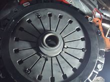 Competition stage 4+ clutch