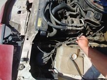 Hose marked 'carburetor'