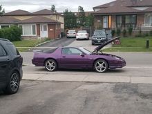 88 bird