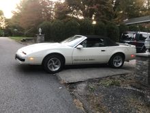 This pic is from yesterday before I washed it. 