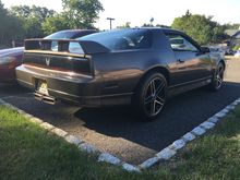 Overall tip shot from rear.