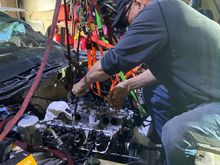 My neighbor best neighbor!