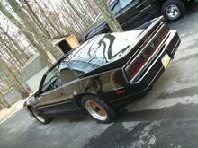 Trans Am Side