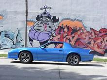 wynwood37