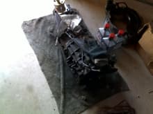 T56 w/ Pro 5.0 shifter and stage 2 clutch