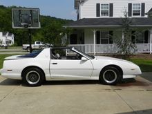 1991 trans am