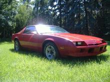 Camaro - 1987 Bought as is. Rusted quarter panels and doors
