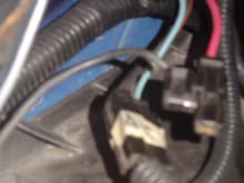 DSC00909 this where this black wire conect on engine wire harness anybody know what this for it has 2 ground wires goes on leftside all the to radiator thanks