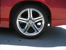 RIMS 009