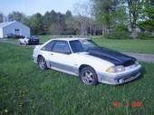 mustang 8/2008