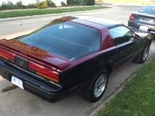 firebird 003