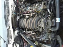 ls1 swap engine in completed