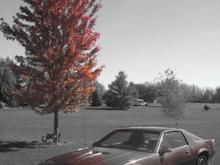 Indiana barn find