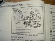 MAF relays and fuel pump relay