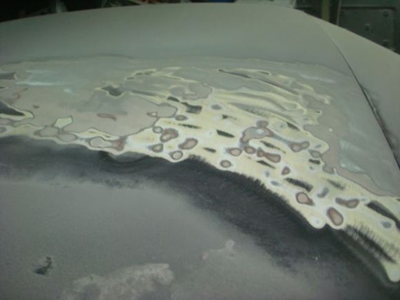 Bondo everywhere.
