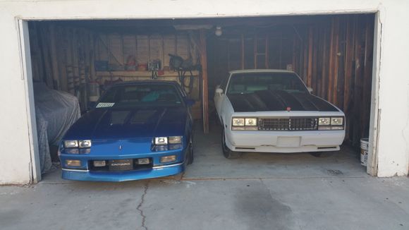 3rd Gen, 5th Gen 80's babies