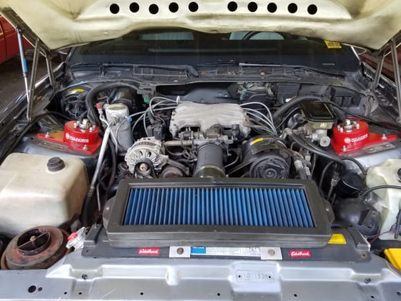 Still cleaning the engine bay up...but here is an updated picture.