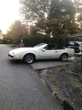 This pic is from yesterday before I washed it. 