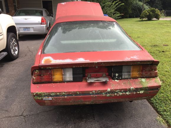 This is what I started with. It was a Granny's car that sat for ten years underneath a cedar tree.