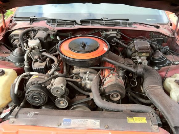 Original Brakes and motor