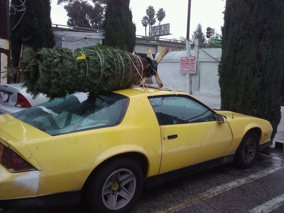 Who needs a truck