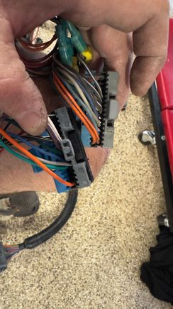 On this connector, the new harness has an orange wire on the far right bottom, missing the orange/black wire that the old harness has. Difference here?