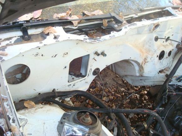 Have most everything off the firewall now in prep to strip the peeling paint.