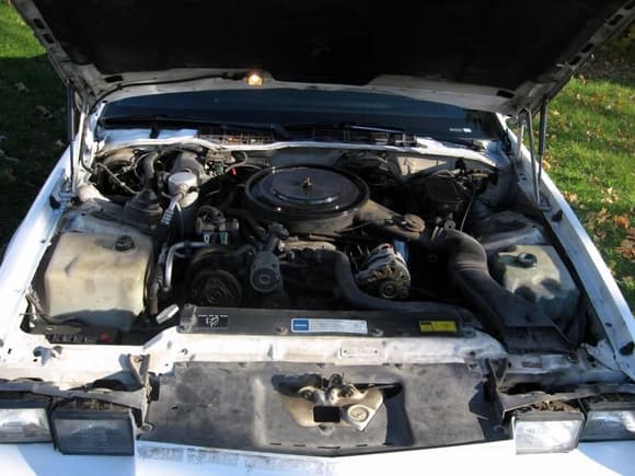 It's got the optional L03 305 TBI!! WoW that engine bay needs cleaned!