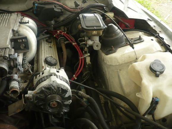 before pics
