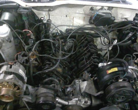 3.1l V6 had to tear it down for injector o-rings and the intake gaskets needed replaced