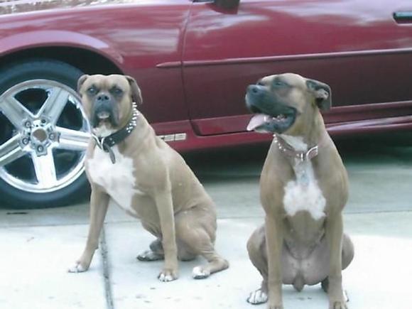 Shay and Roxy
