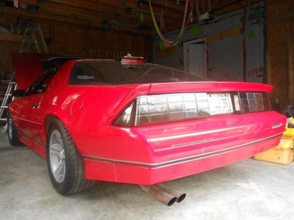 tinted tails 1