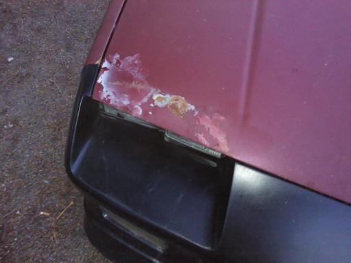Biggest bit of body damage sand bag and a metal working hammer bent her back up from touching the bumper (previous owner annihilated a deer)