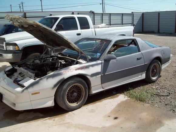 My second one and its my new love