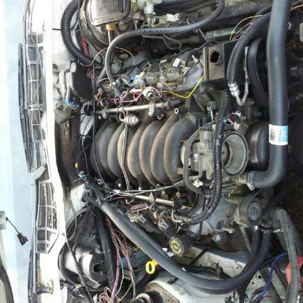 ls1 swap engine in completed