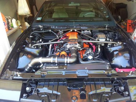 all cleaned up an ready for the show