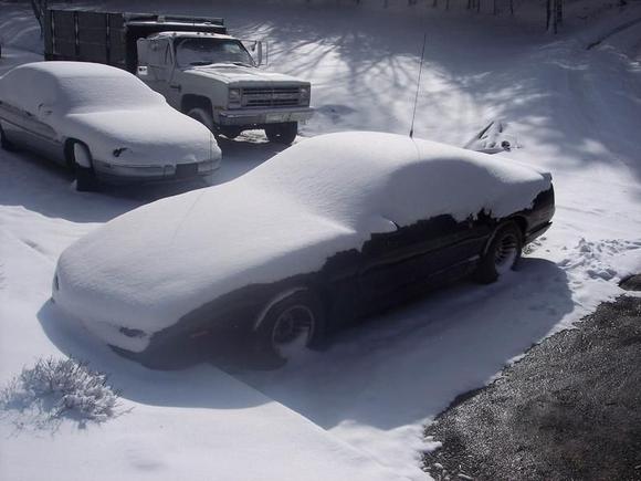 snowbird
