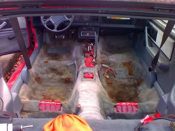 i really need new carpet