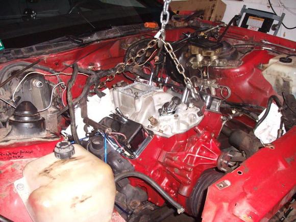 just got her to sit it