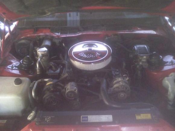 Recent pictures after cleaning out the engine bay