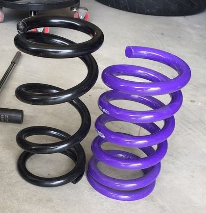 Hangin with flashy friend