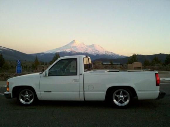 Lola at Mt. Shasta
