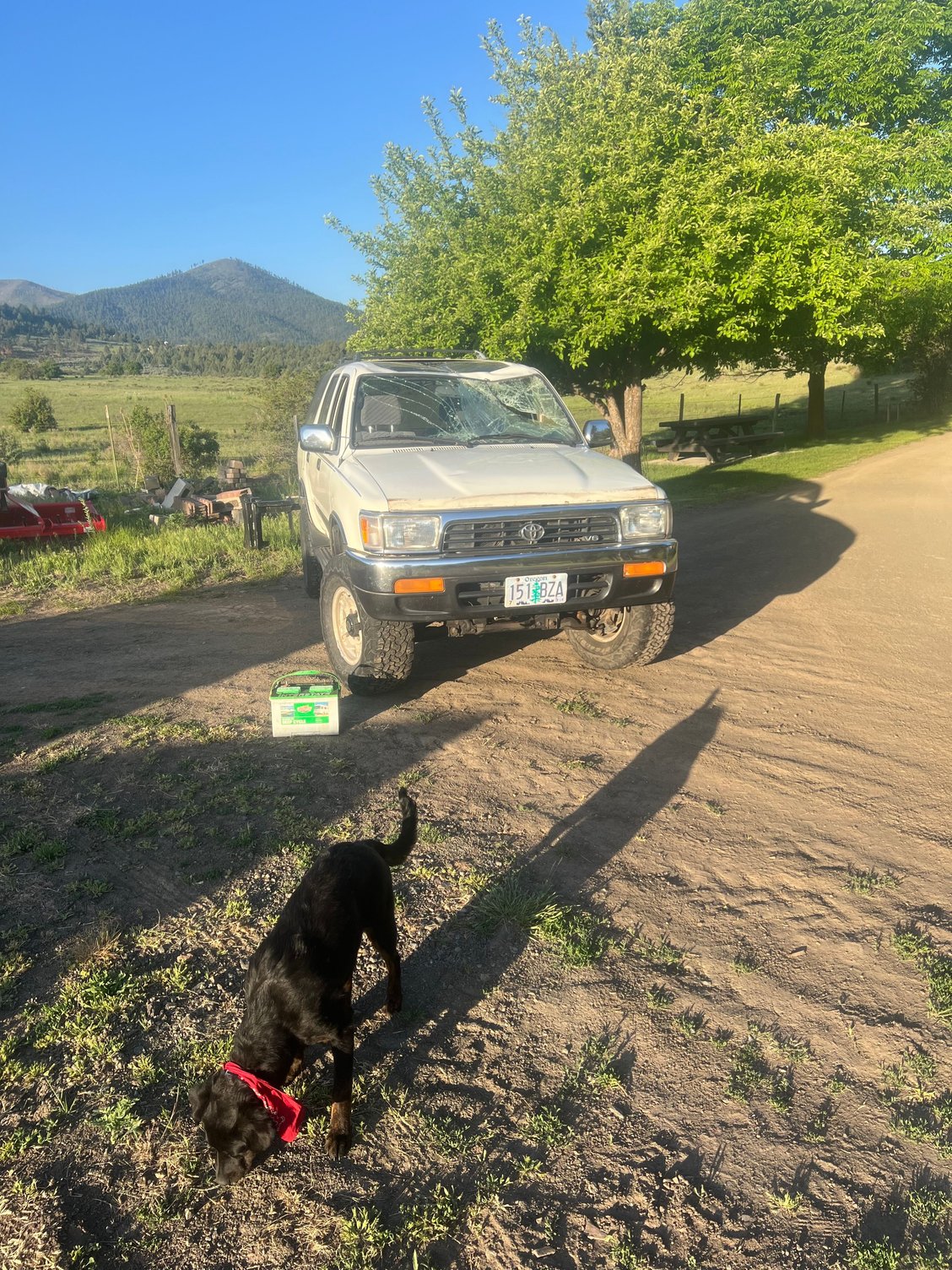 Rolled donor was nice. 